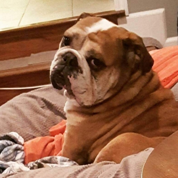 Meet your Posher, Heidi - Picture 7 of 7